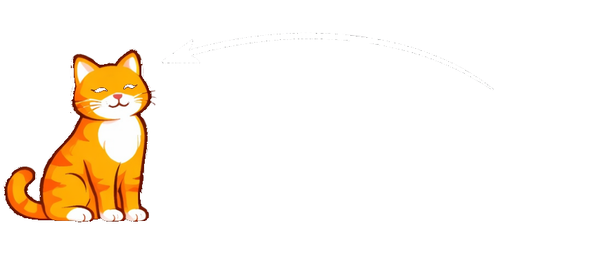 Rocket Digital Ltd